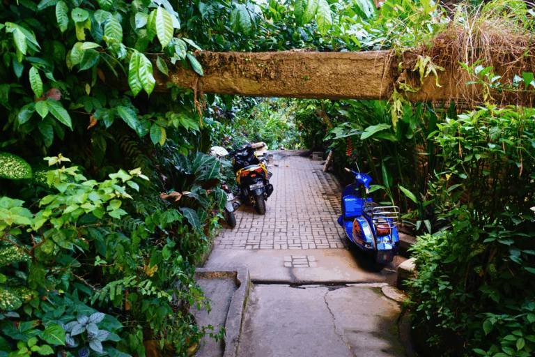 Ubud – ein paar Schritte abseits